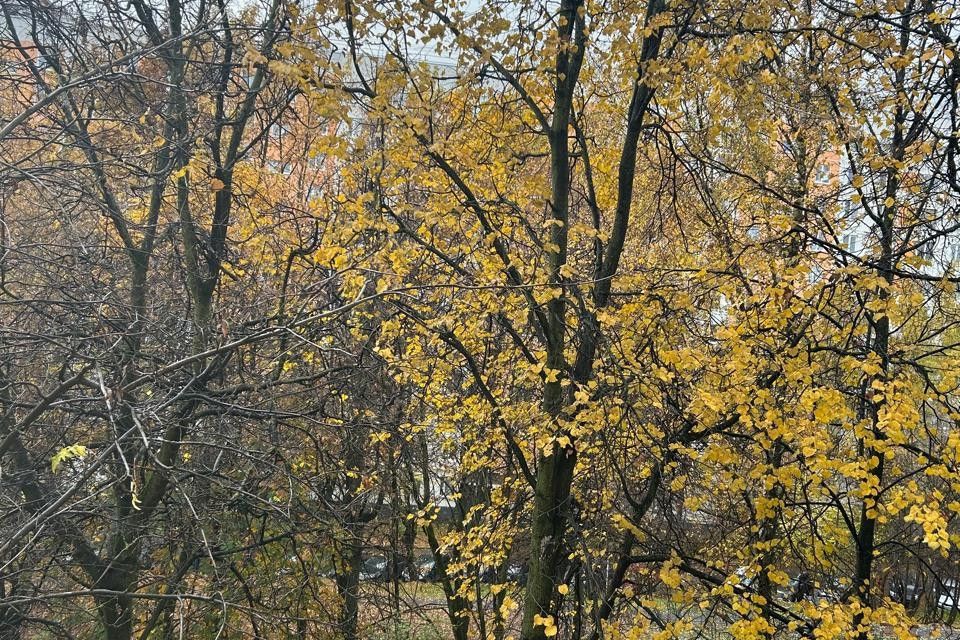 Продаётся 2-комнатная квартира, 45 м²