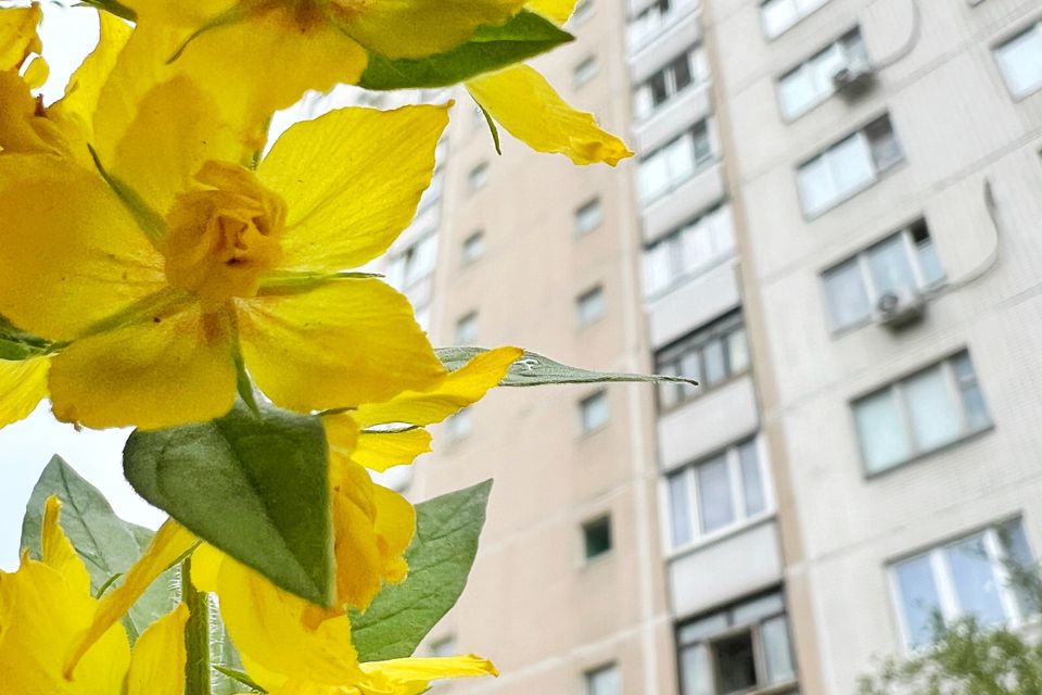 Продаётся 2-комнатная квартира, 52.2 м²