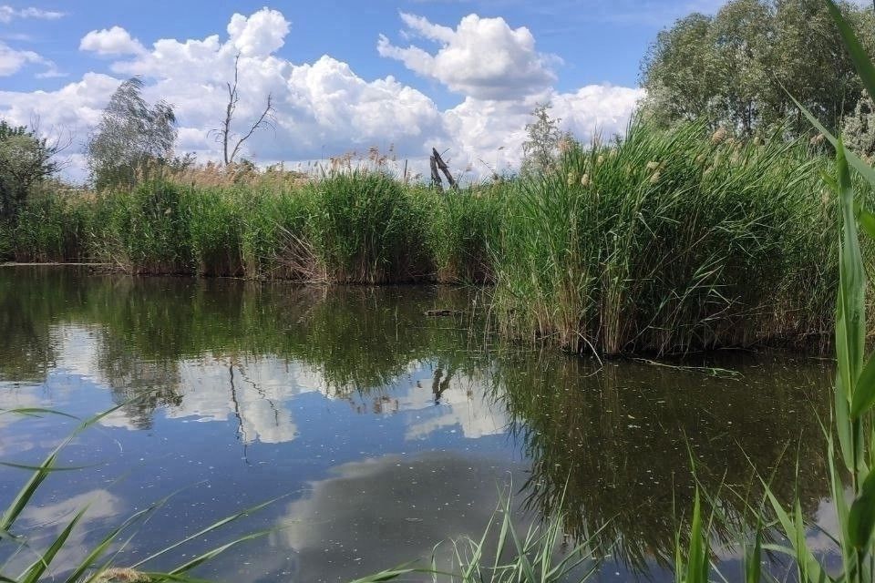 Продаётся участок, 9.56 сот., Садовый