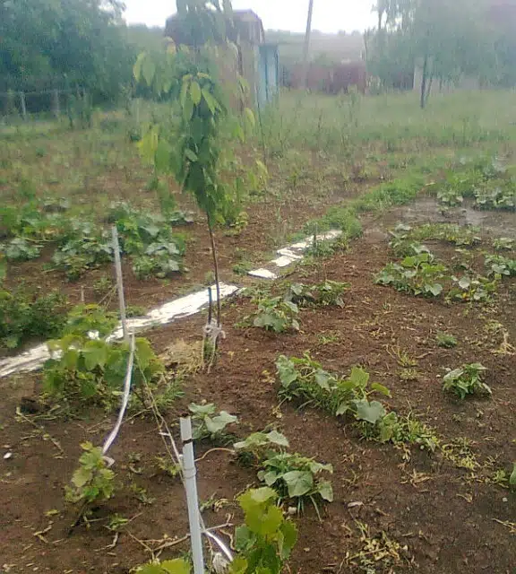 Продаётся 1-этажный дом, 22 м²