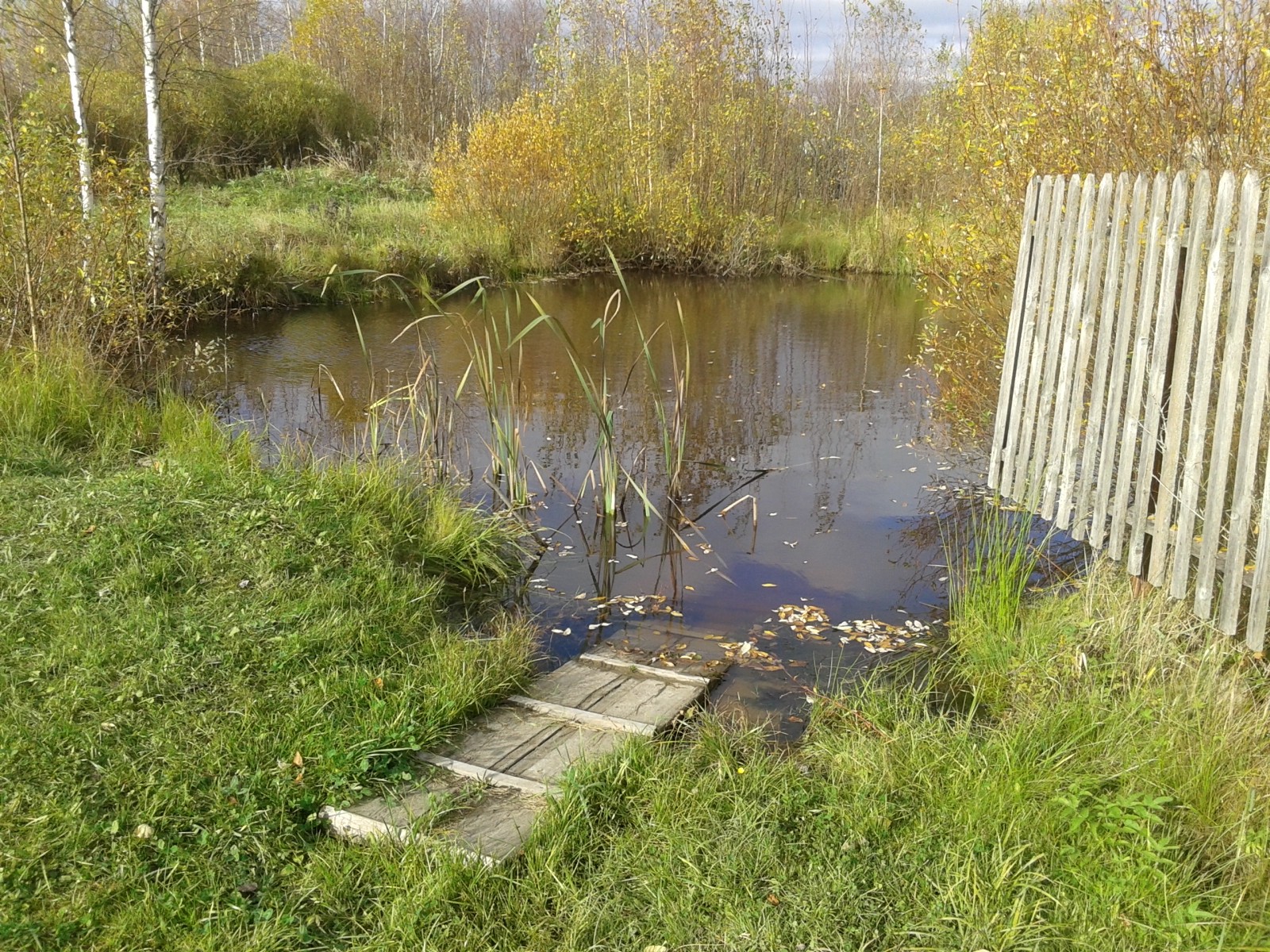 Погода в панковке новгородская область. Старое Рахино Новгородская область. Авито Крестцы недвижимость.