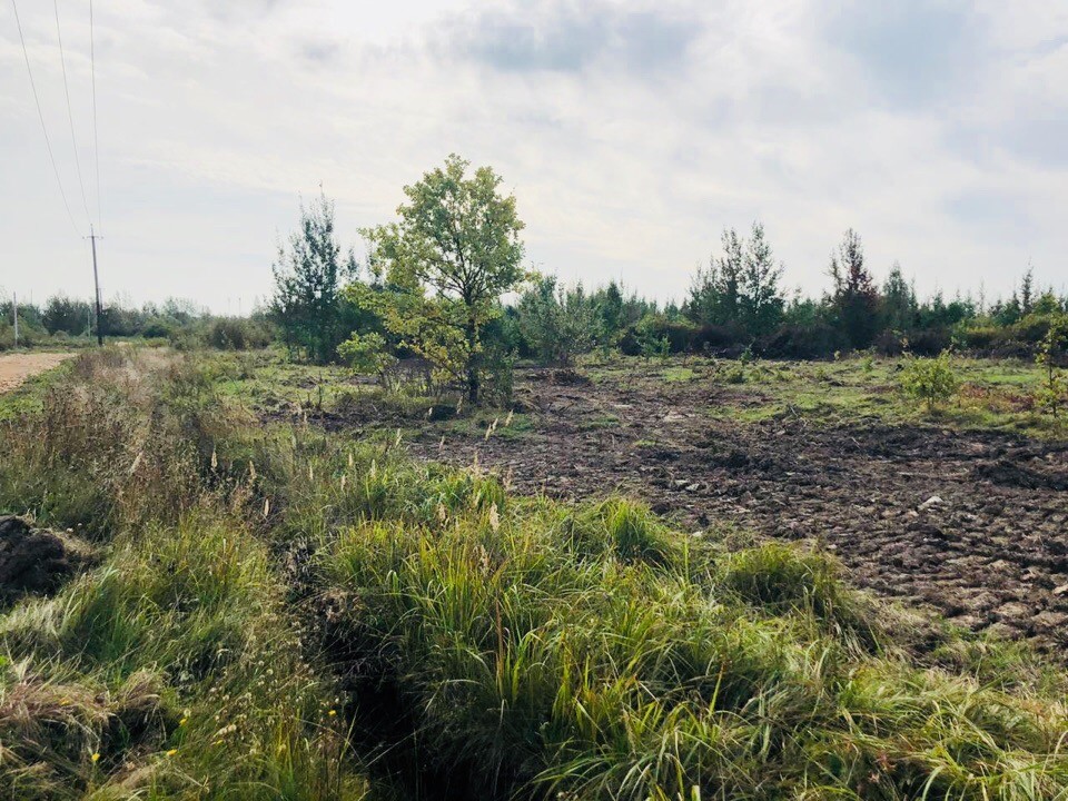 Купить Участок Новгородская Обл