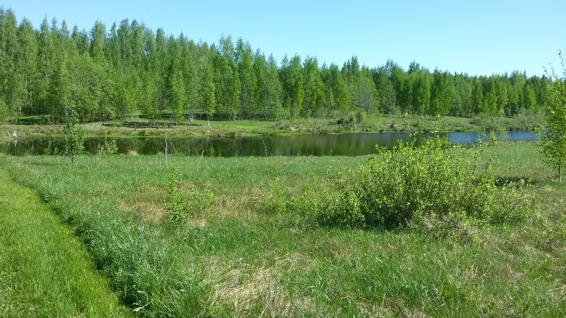 Купить Землю Новгородский Район