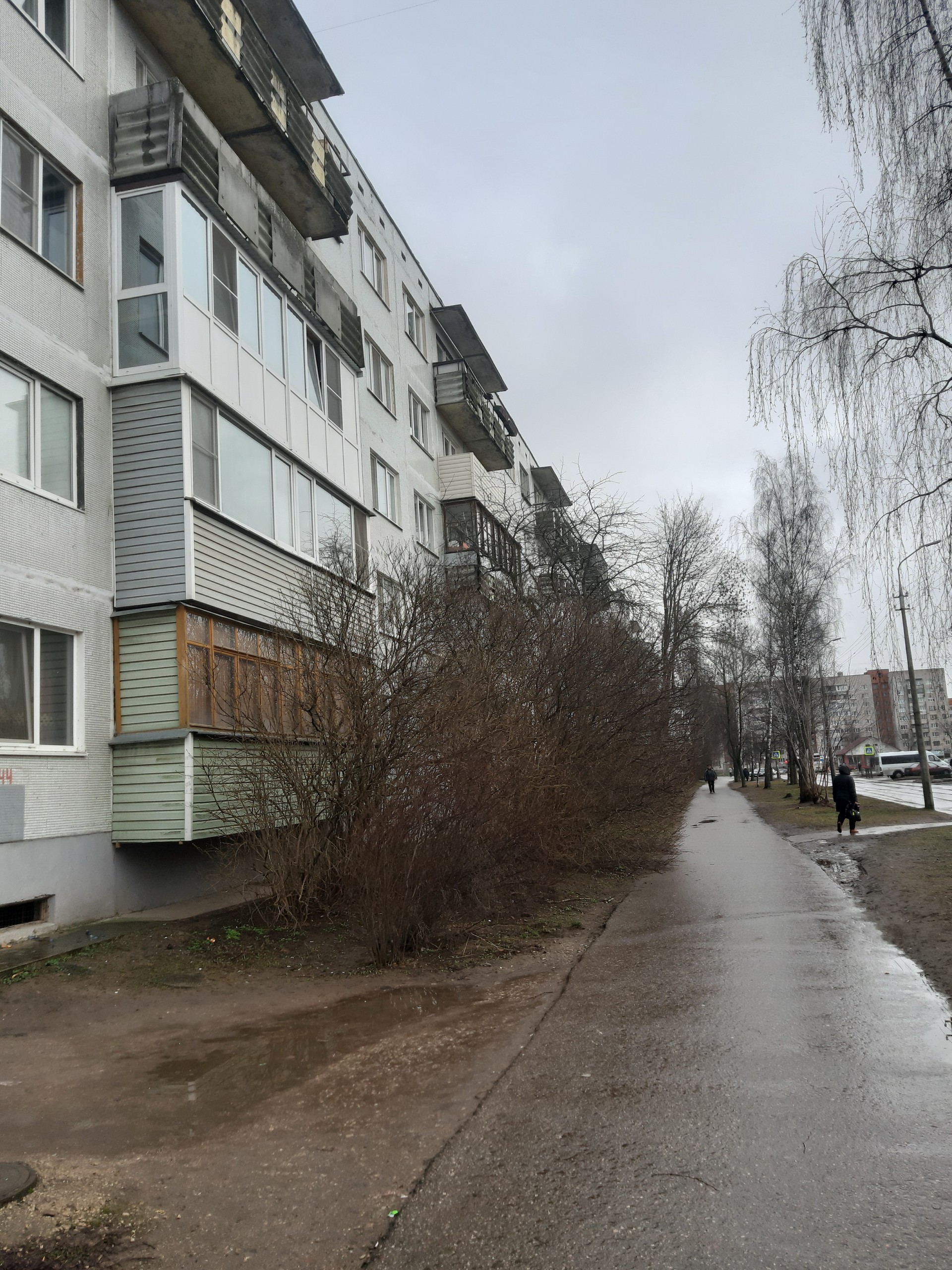 Алтаева 8 псков. Ул алтаева псков. Алтаева 11 псков. Алтаева 22 псков. Ул алтаева псков.