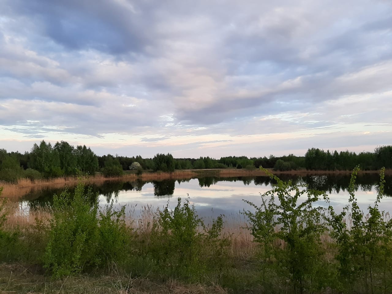 Купить Участок Кораблино Рязанского Района