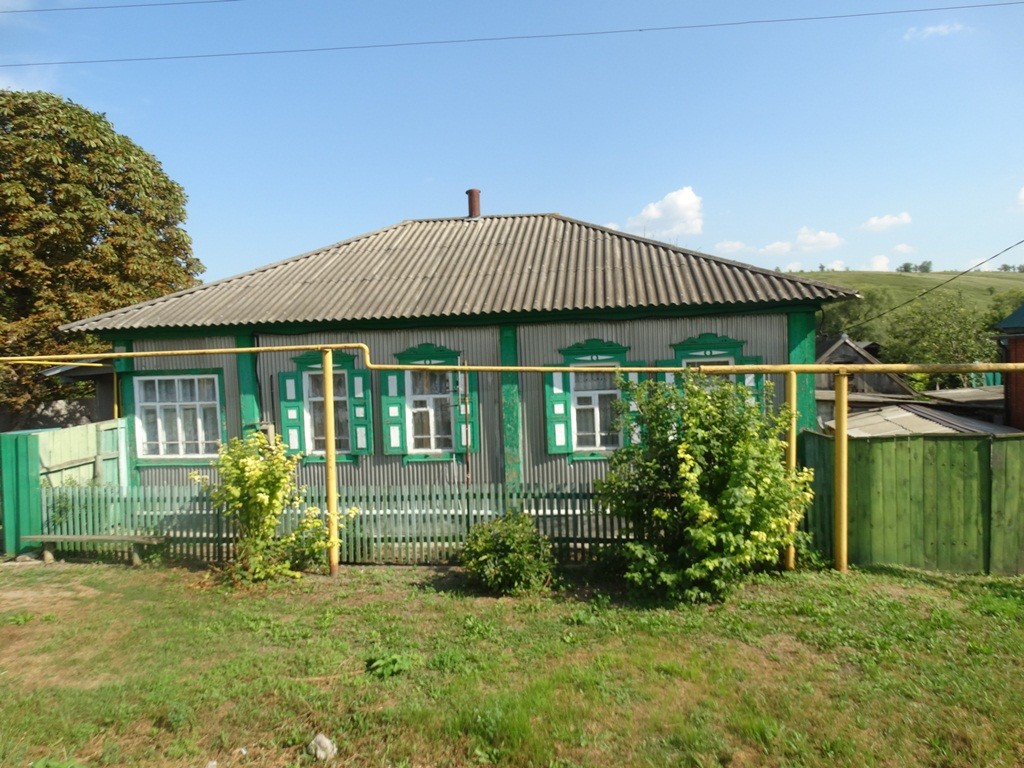 Лиски воронежская область дома. Село Селявное (Старохворостанское с/п). Село Лиски Воронежской области. Село высокое Лискинский район Воронежской области. Дом в село высокое Лискинский район Воронежская область.