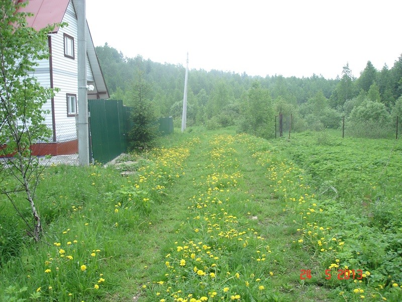 Кролики Дмитровский Район Московская Область Купить