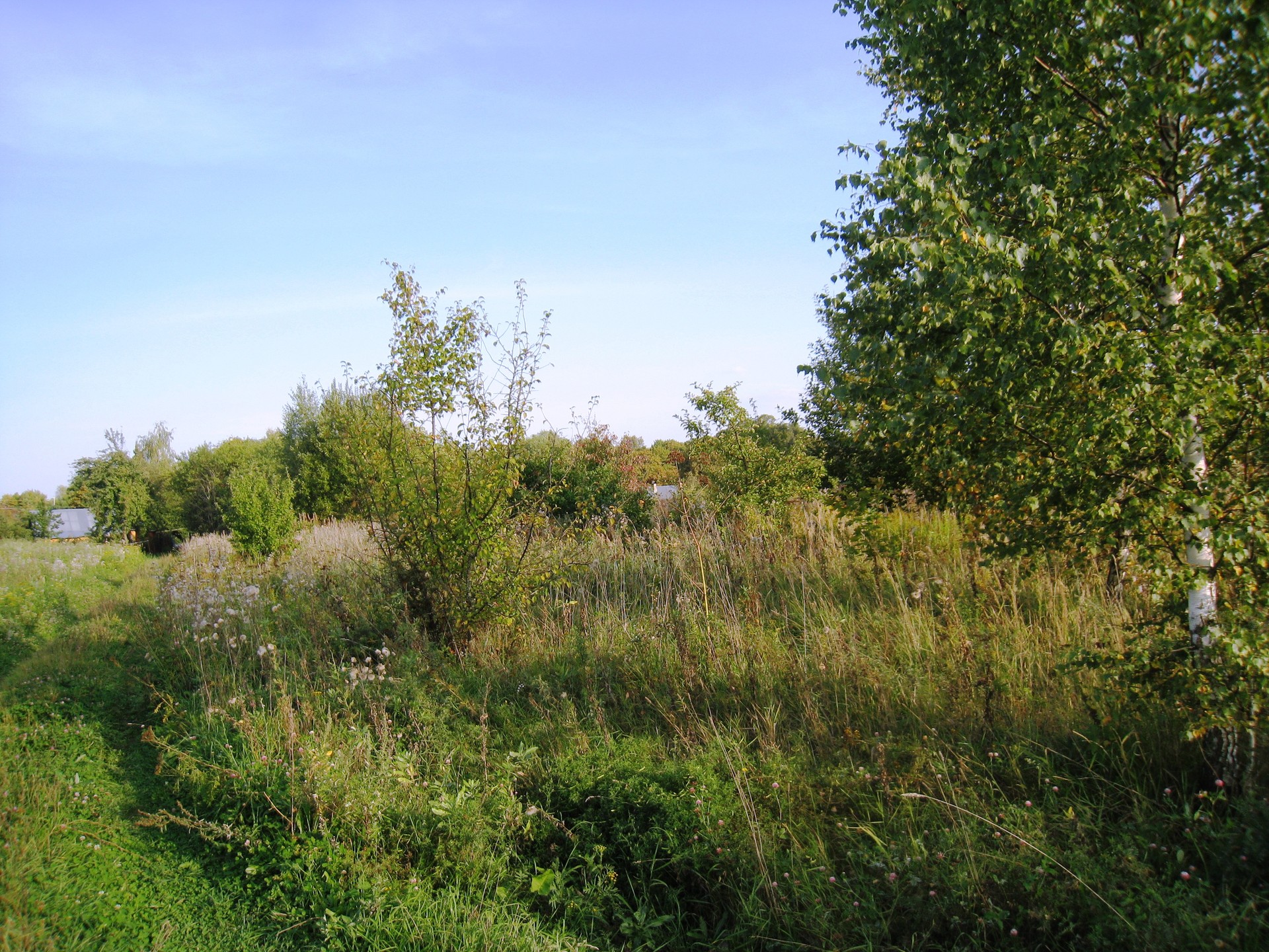 Дер кошкино. Дер кошкино. Деревня кошкино всеволожский. Кошкино, деревня кошкино. Кошкино, деревня кошкино.