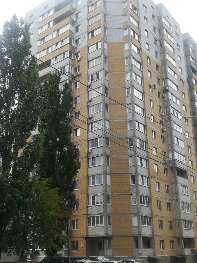 Ул хользунова квартира. Хользунова 102в. Хользунова 102в Воронеж. Хользунова 76. Хользунова 38/10.