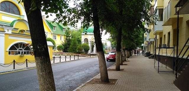 Улица орджоникидзе воронеж