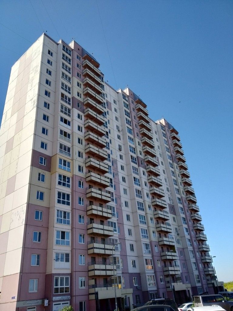 родионова 45 что за дом (91) фото