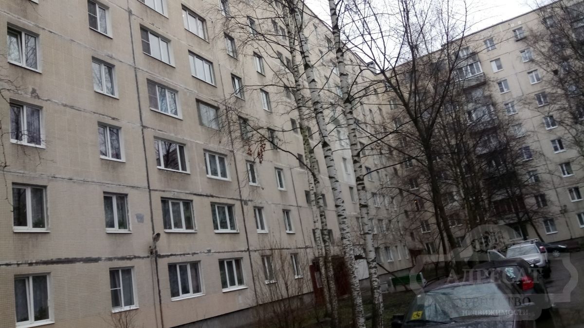 захарова дом 33 (97) фото