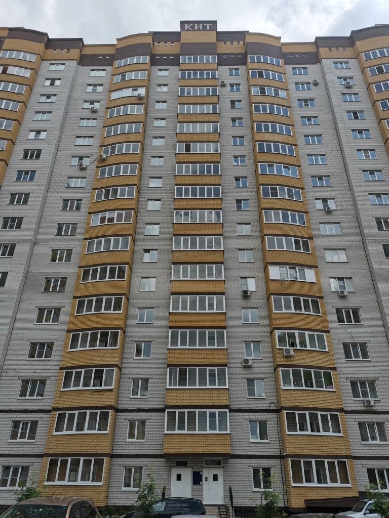 Спутник воронеж ул академика конопатова фото
