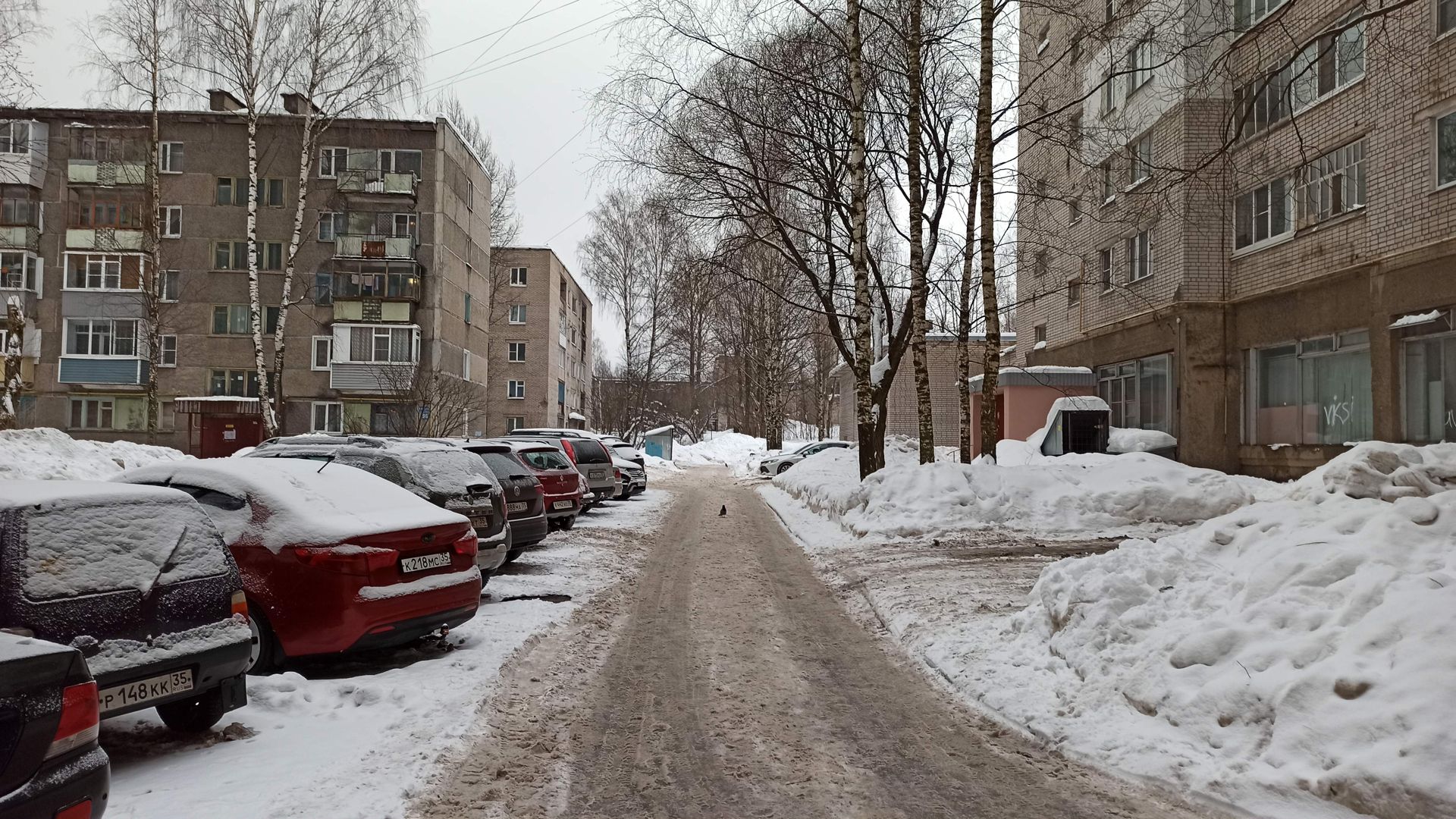 Череповец квартиры купить заягорбский. Заягорбский район Череповец. Архангельская 100б Череповец. Где находится Заягорбский район Череповец.