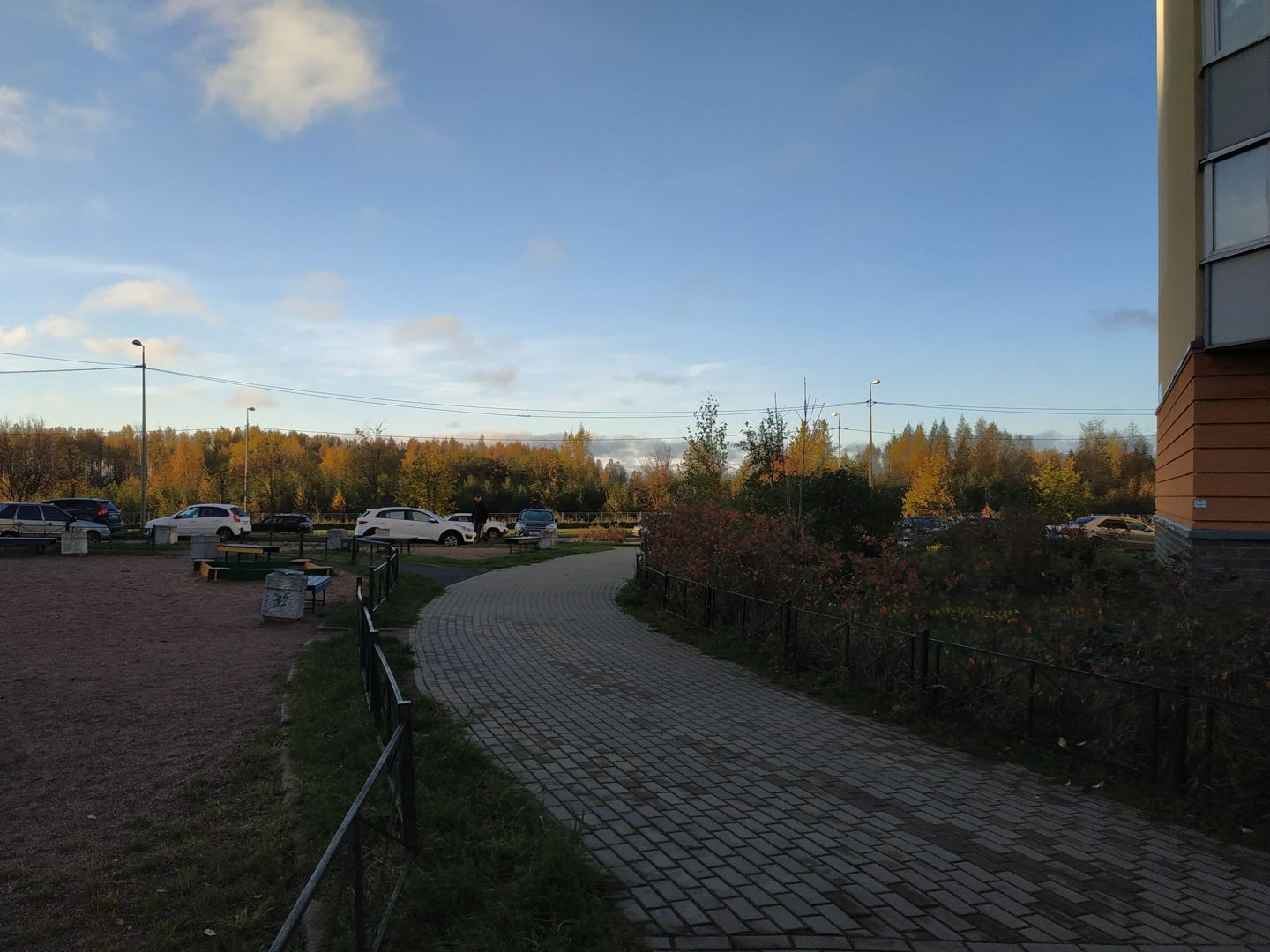 Питомник приозерское шоссе. Приозерское шоссе фото.