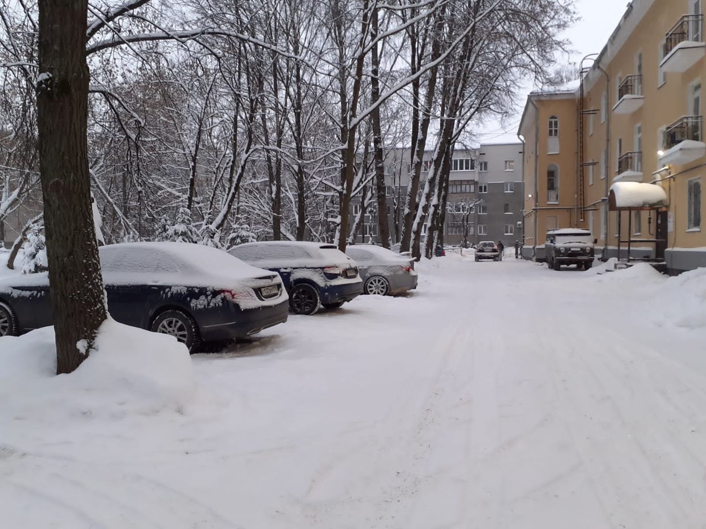 Купить Квартиру В Великом Новгороде Торговая Сторона