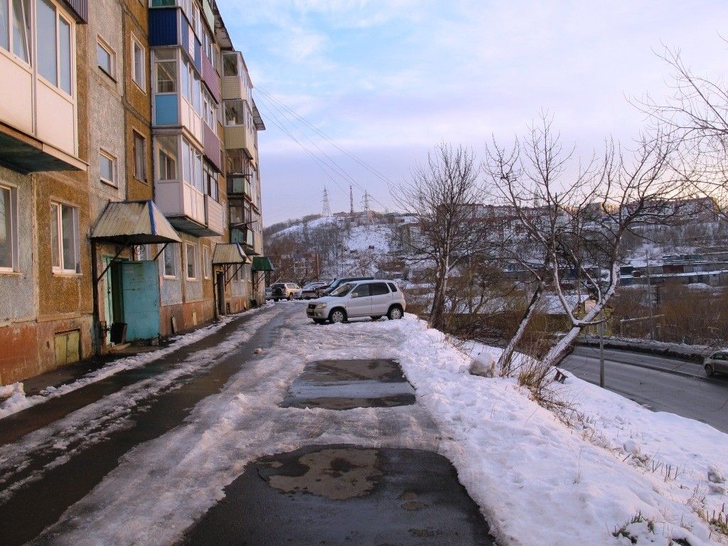 Дом по адресу Петропавловское шоссе, 29