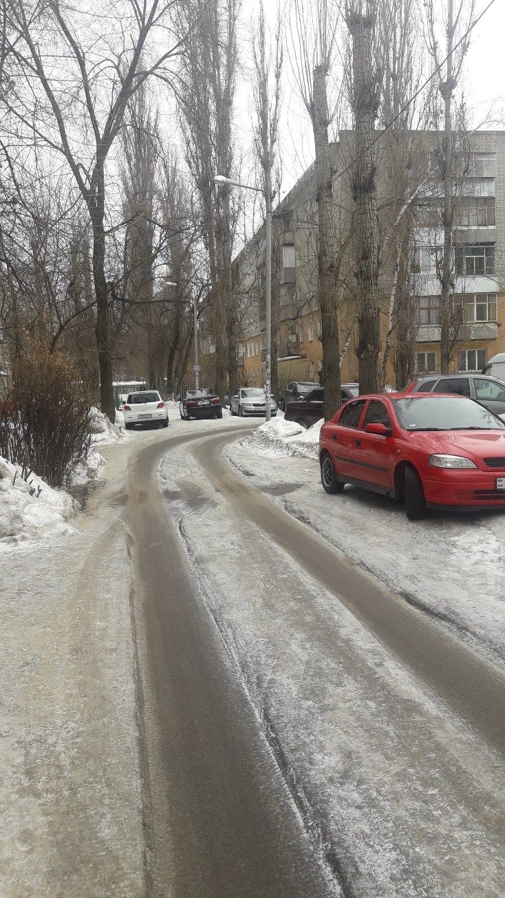 Дом по адресу улица Старых Большевиков, 100