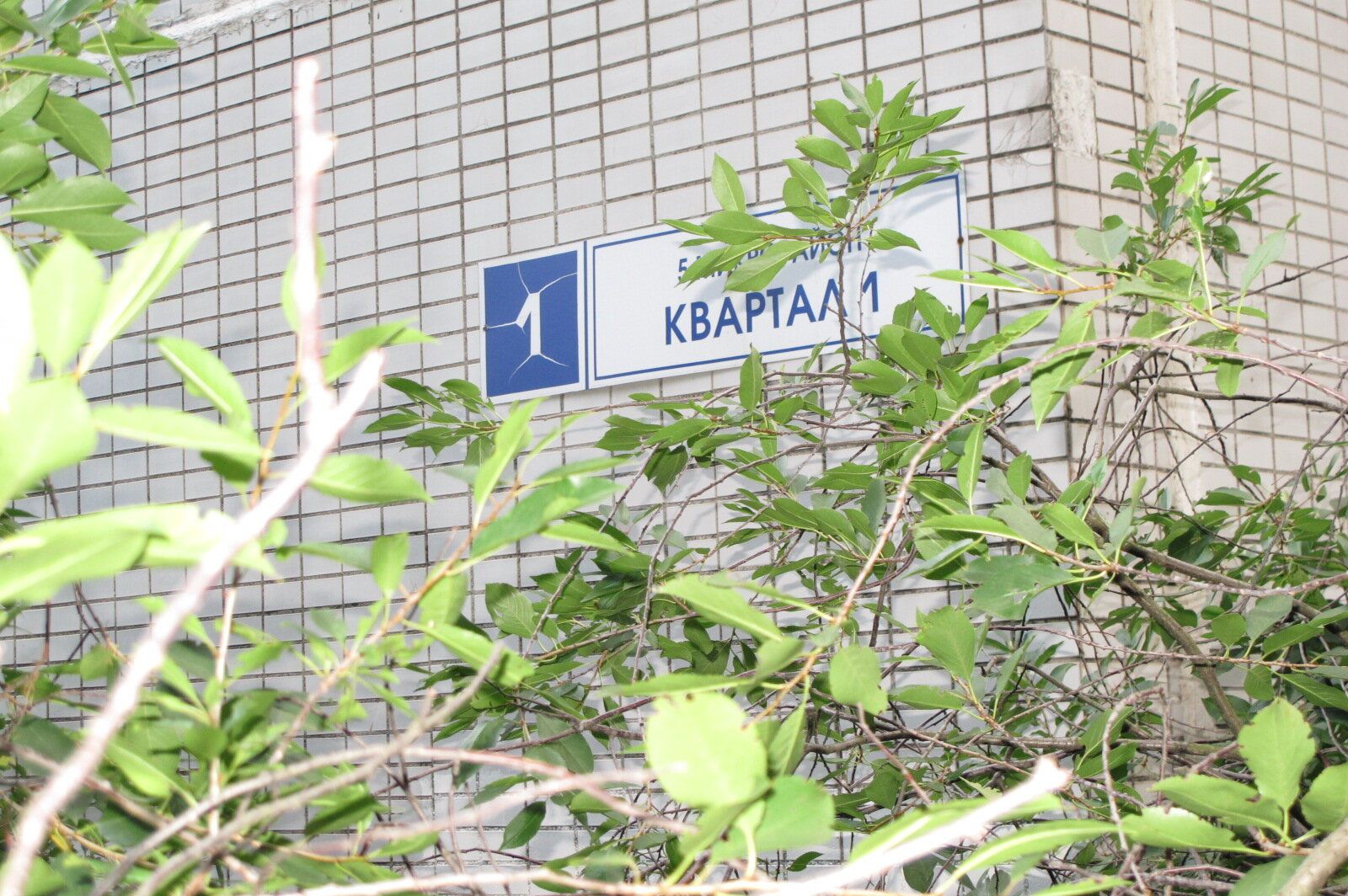 Дом по адресу 1-й квартал, 1