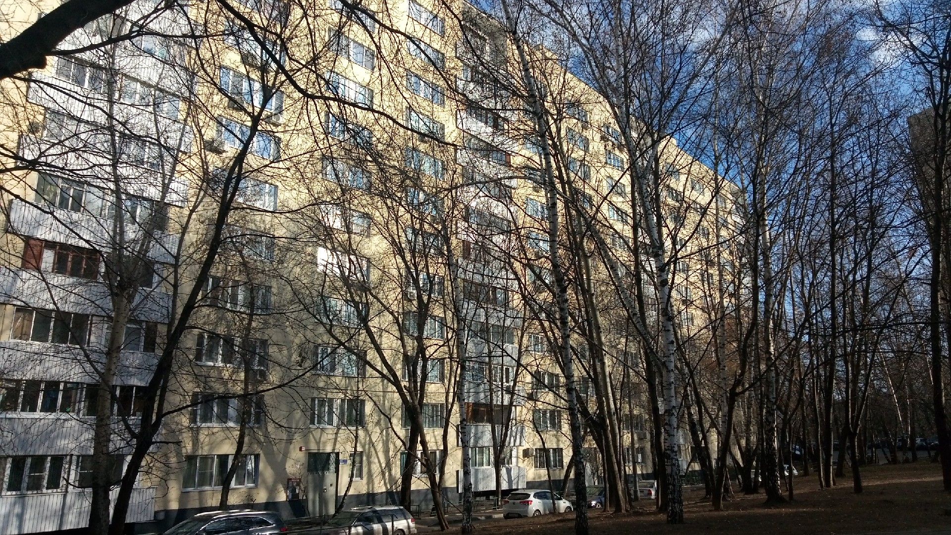 дди15 москвы