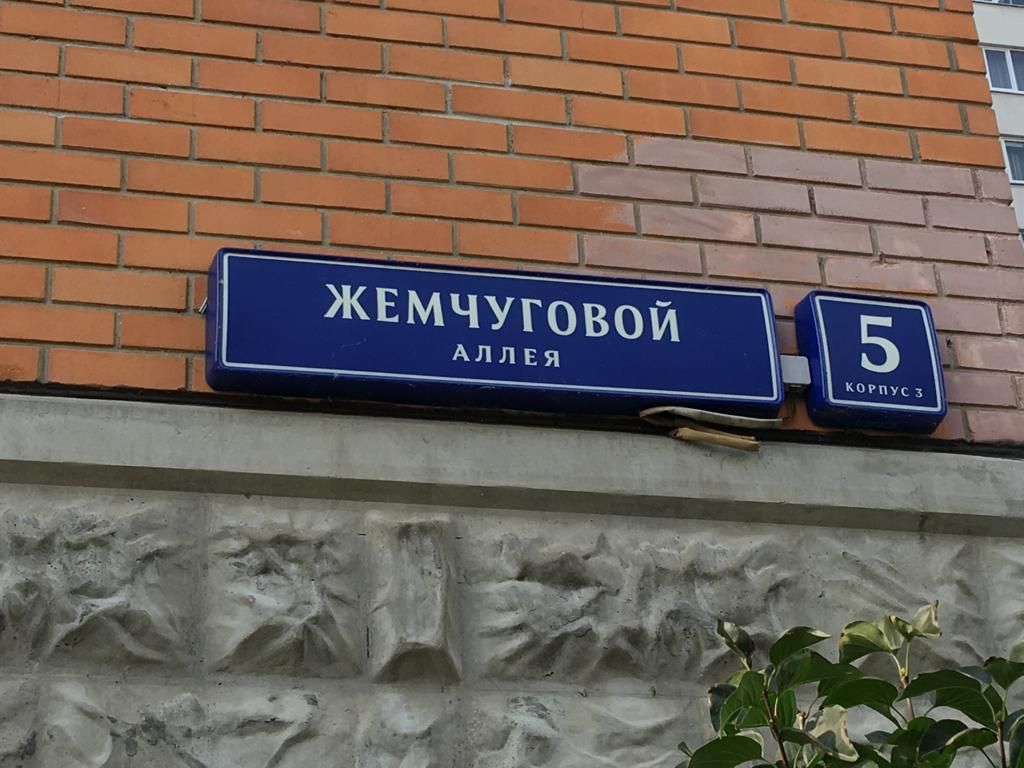 аллея жемчуговой 5. москва, аллея жемчуговой 5, к4. аллея жемчуговой 7 вешняковская школа. аллея жемчуговой 5 к 5. аллея жемчуговой дом 5 корп 5.