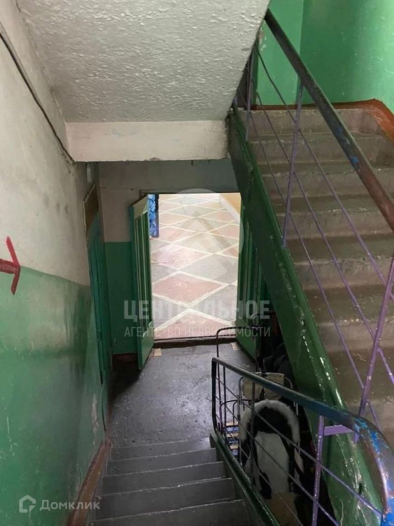 Фото В Заельцовском Районе Новосибирска