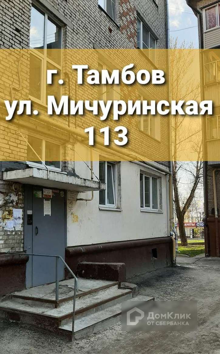 Мичуринская улица, 113 (Мичуринская улица, 113) – информация и адрес дома  (район), серия, отзывы, на карте, планировки и фото – Домклик