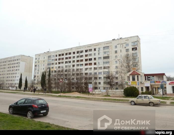 Кактус шоу ул бориса михайлова 5в фото