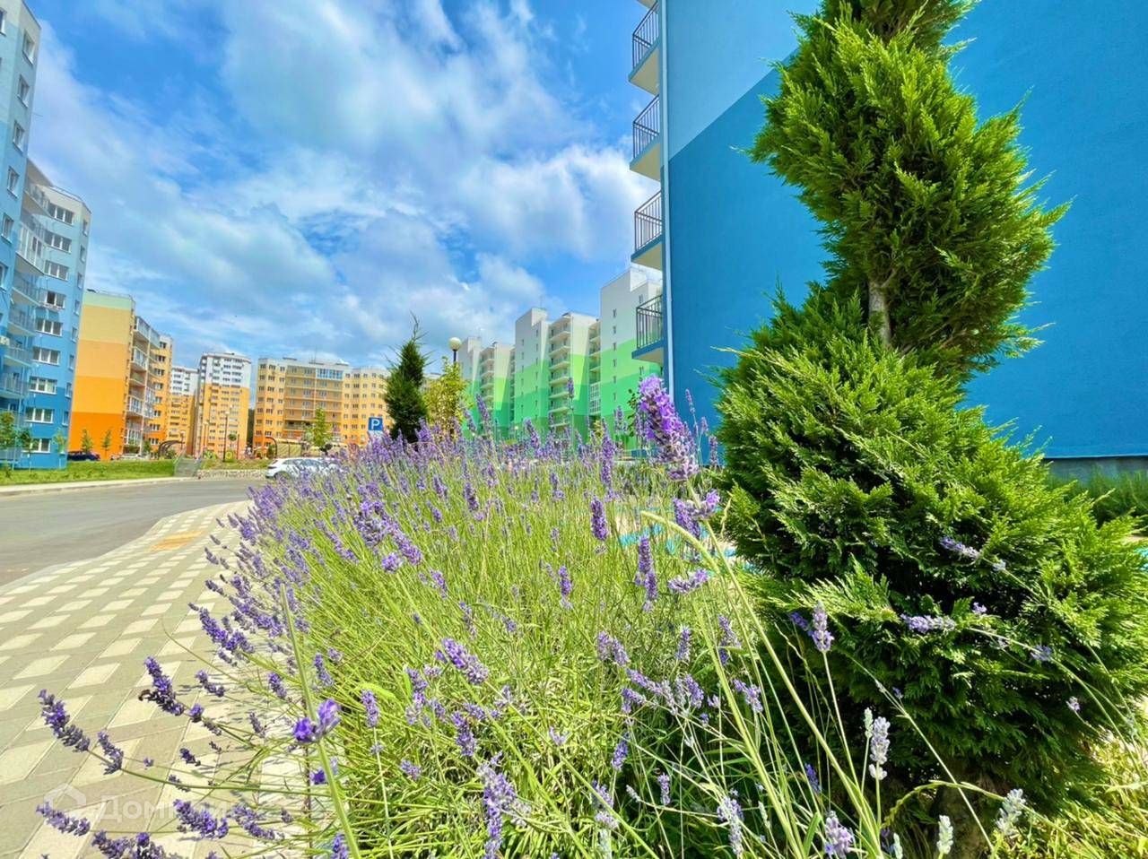 Купить Квартиру Ул Тепличная