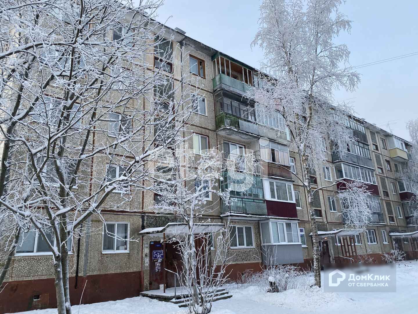 двинская дом 36 (88) фото