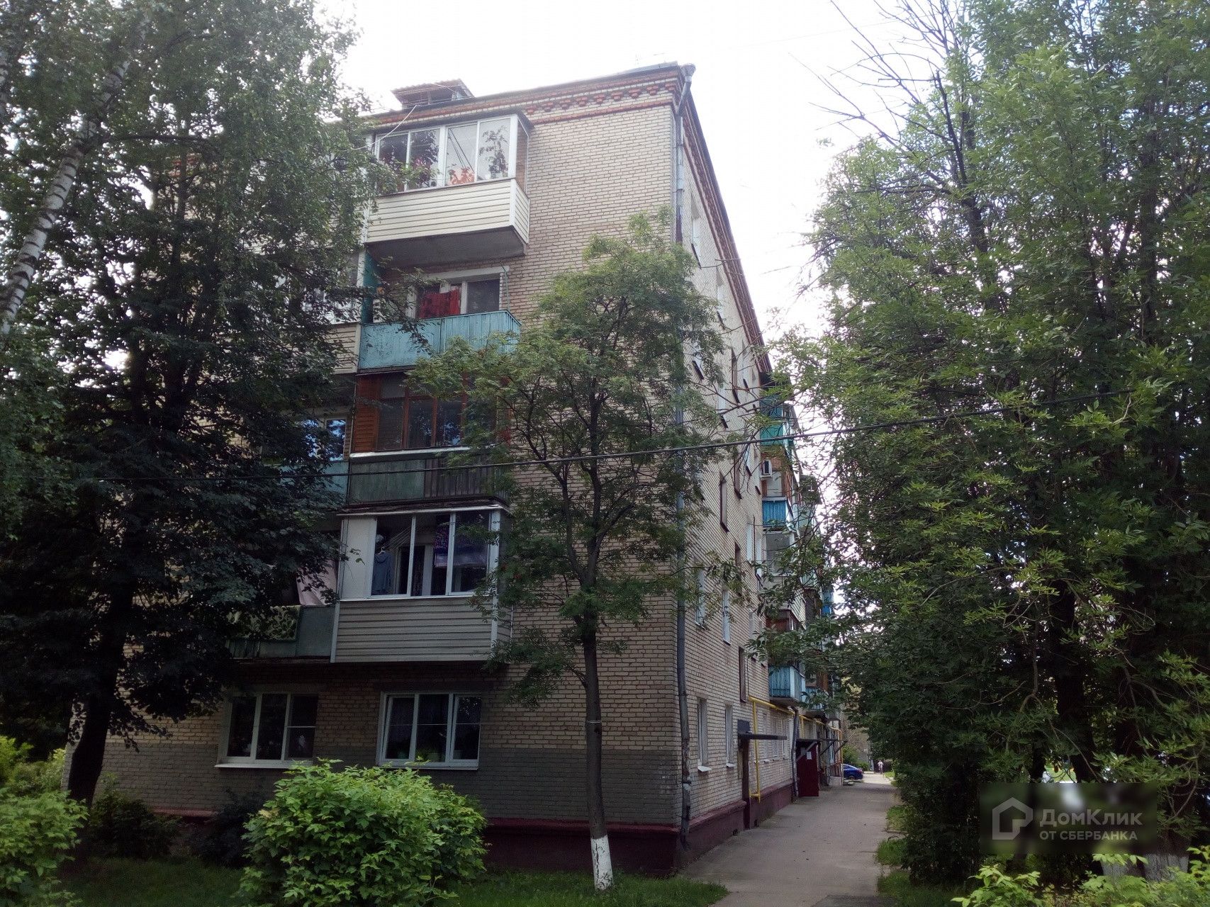 багратиона дом 24 (84) фото