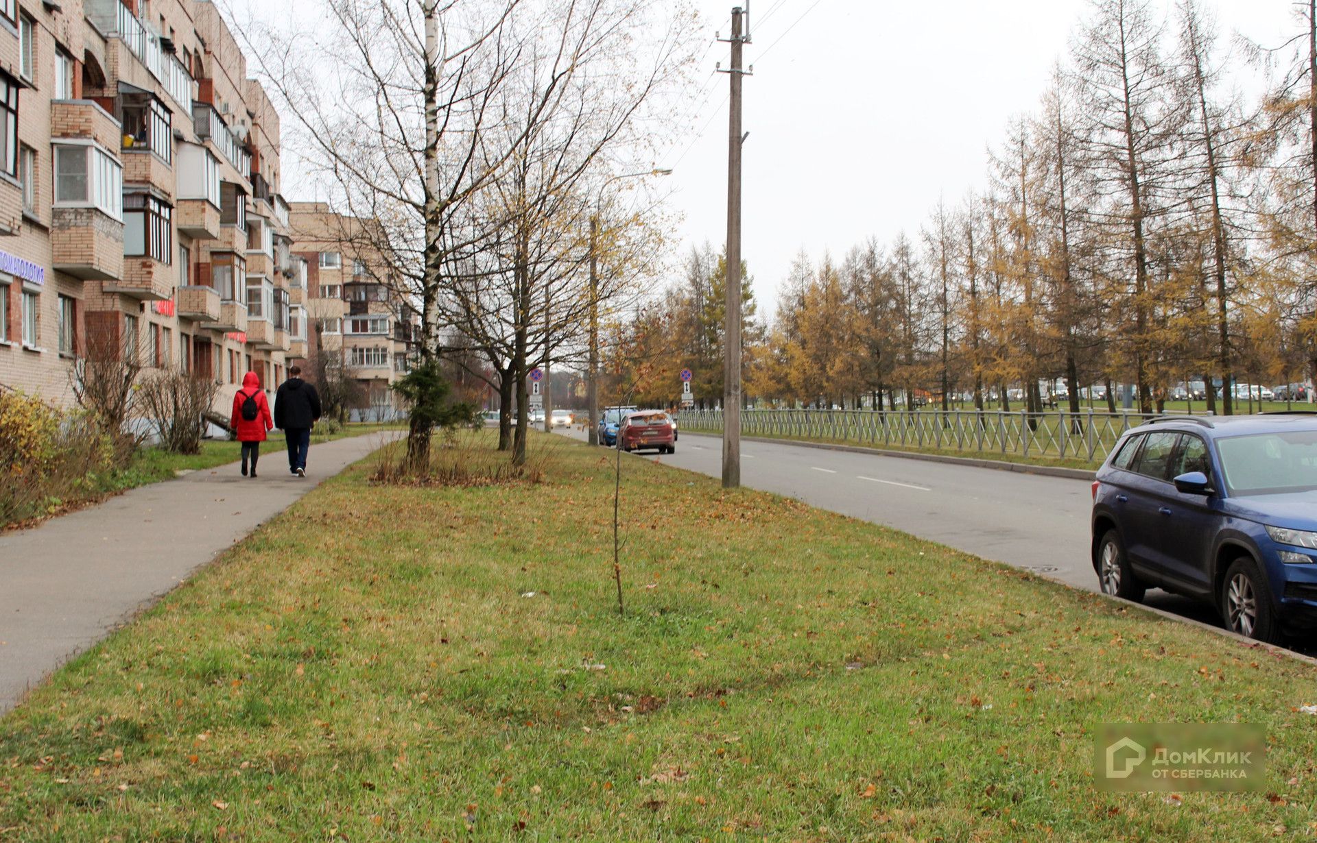 Петербургское шоссе 13 аптека. Петербургское шоссе 13/1. Петербургское шоссе 78. Петербургское шоссе 115. Петербургское шоссе 95а.