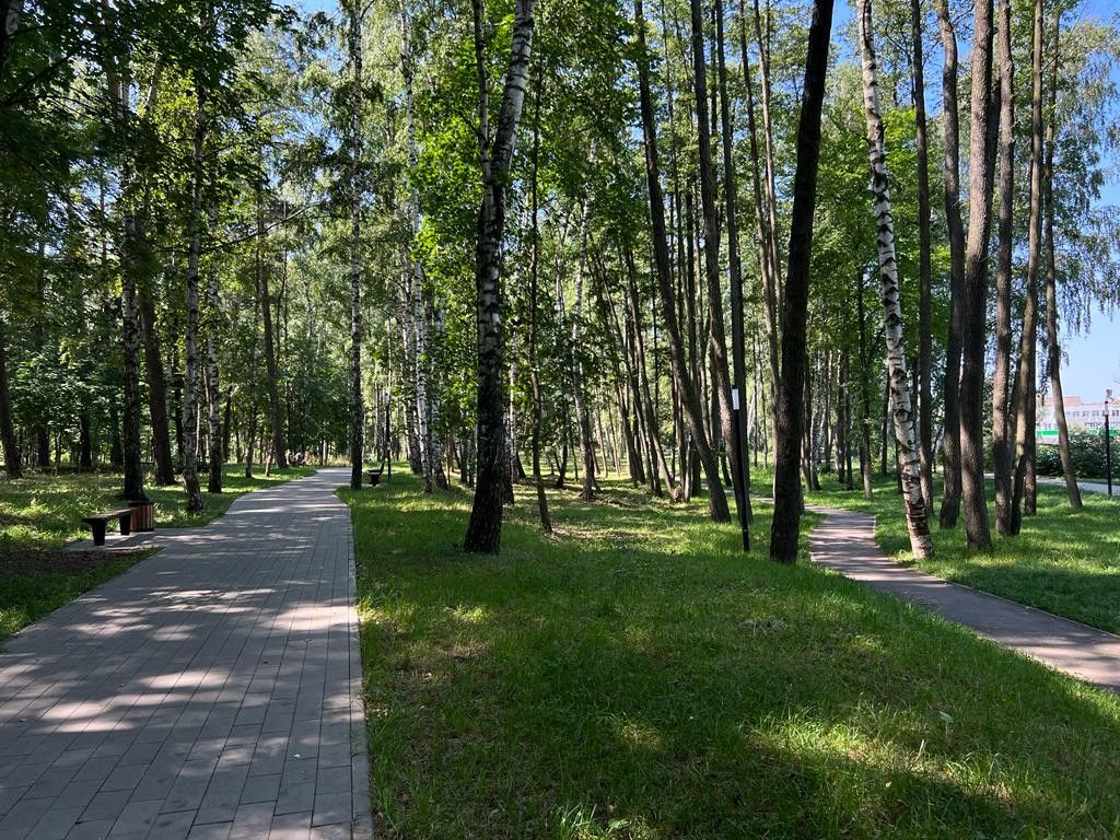 Купить квартиру по адресу Михневское шоссе, 15/3, Михневское шоссе, 15/3 -  0 объявлений о продаже квартир () недорого: планировки, цены и фото –  Домклик