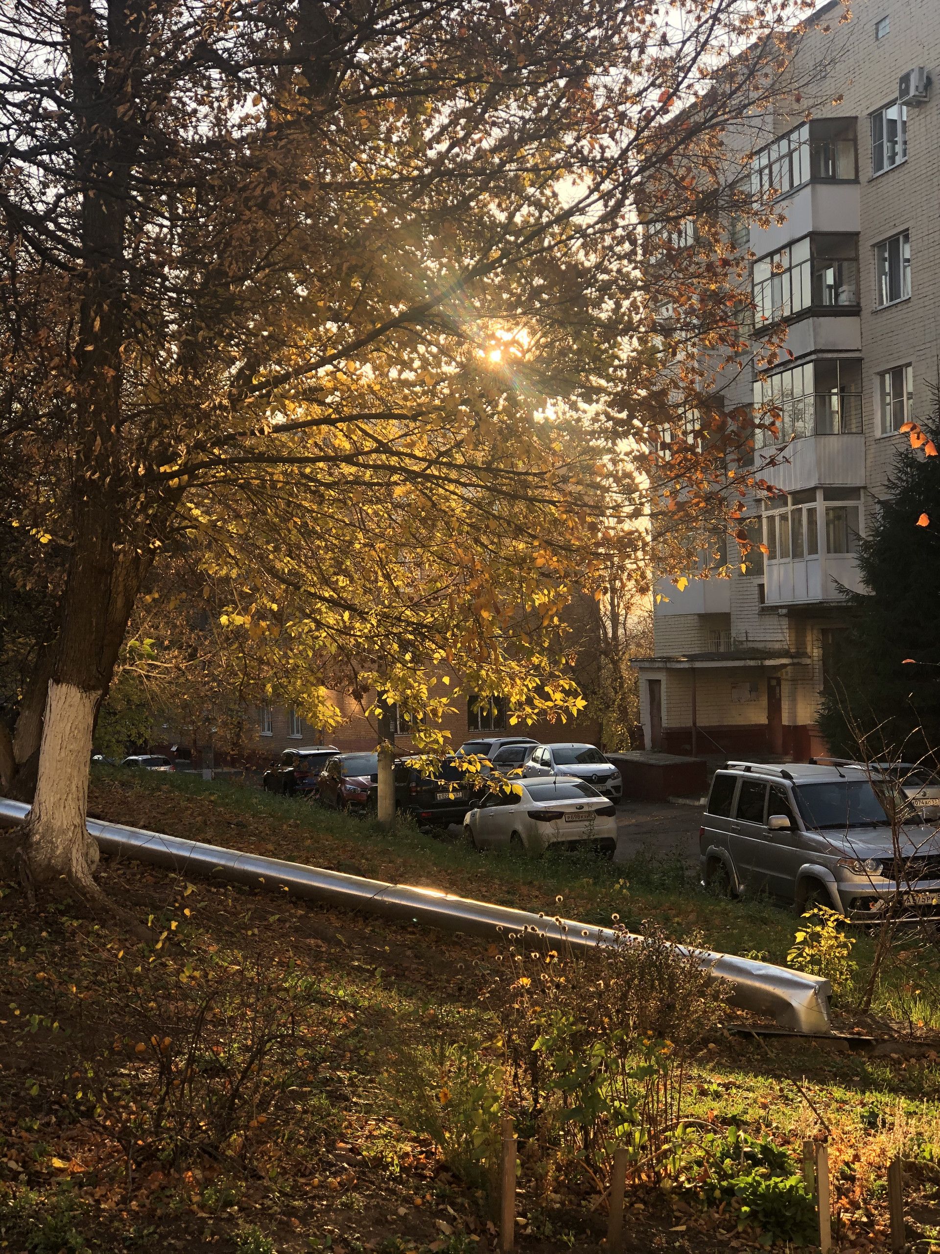 Аренда квартир по адресу улица 7 Ноября, 15