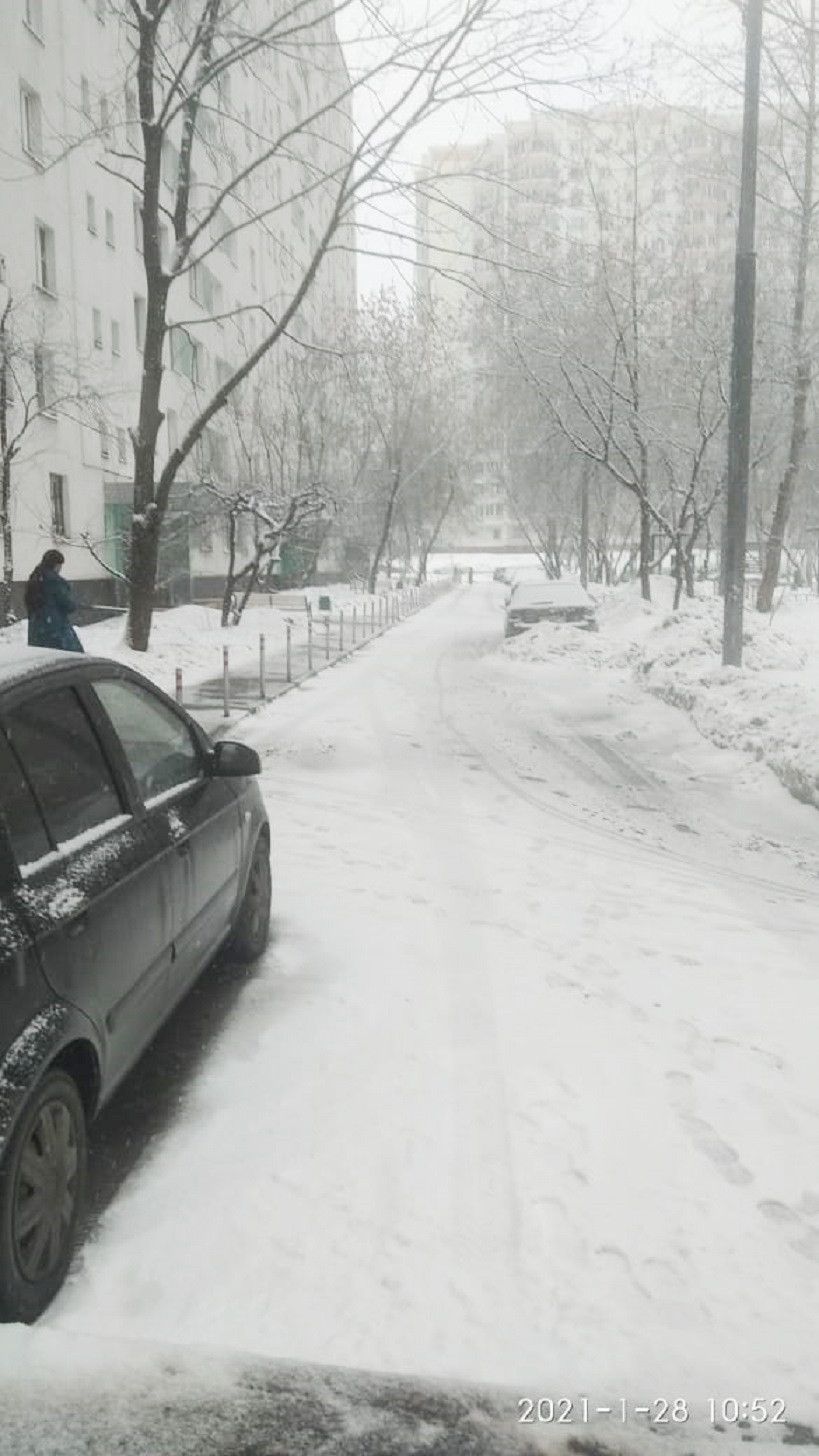 Купить квартиру по адресу Белореченская улица, 29, Белореченская улица, 29  - 0 объявлений о продаже квартир () недорого: планировки, цены и фото –  Домклик