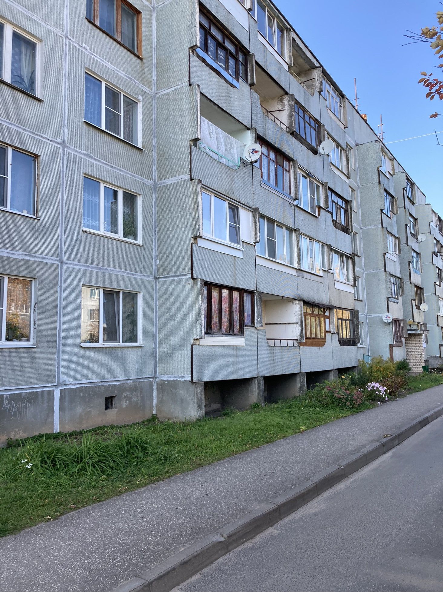 квартиры в стругах красных