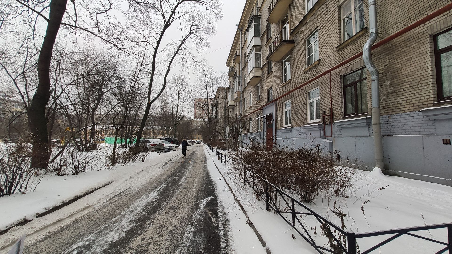 улица васи алексеева санкт петербург