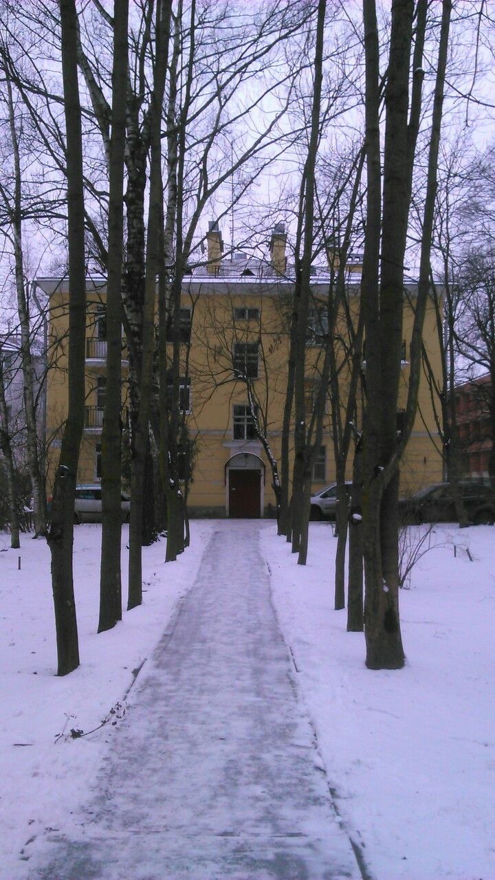 Дом по адресу Павловское шоссе, 95