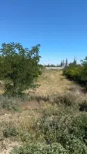 Фото ЖК Приморье