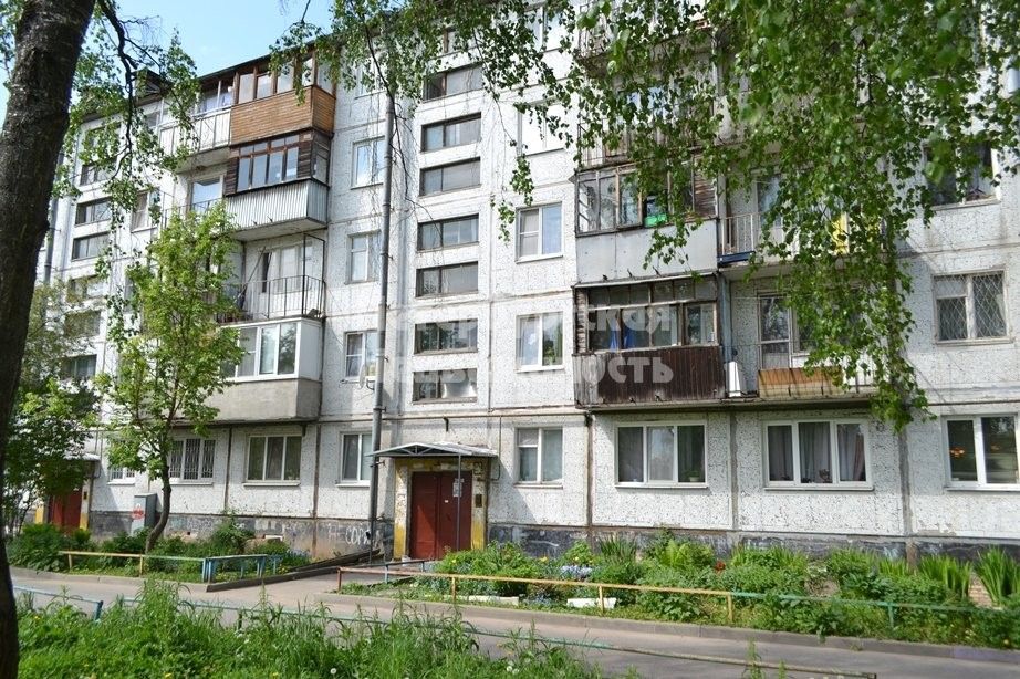 Новый свет гатчинский район фото