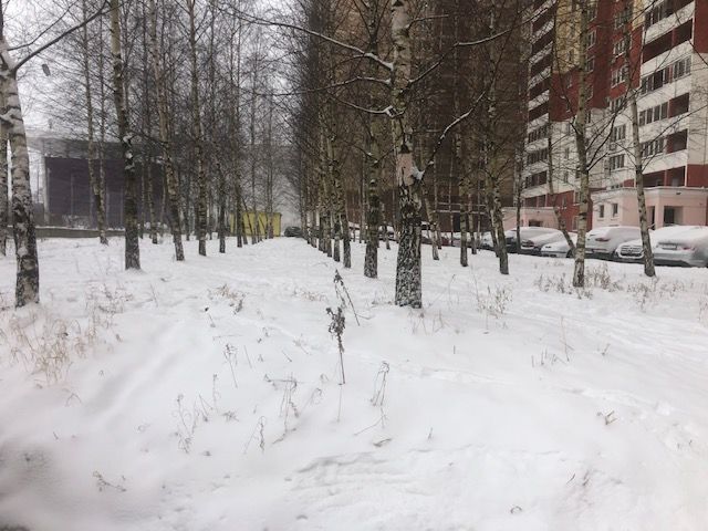 Дубки внииссок. Улица Дружба 19стерлитасак валберис.