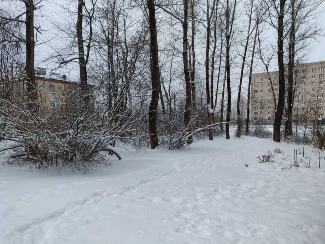 Колпино Загородная. Колпино Загородная улица САМРОЕТ.