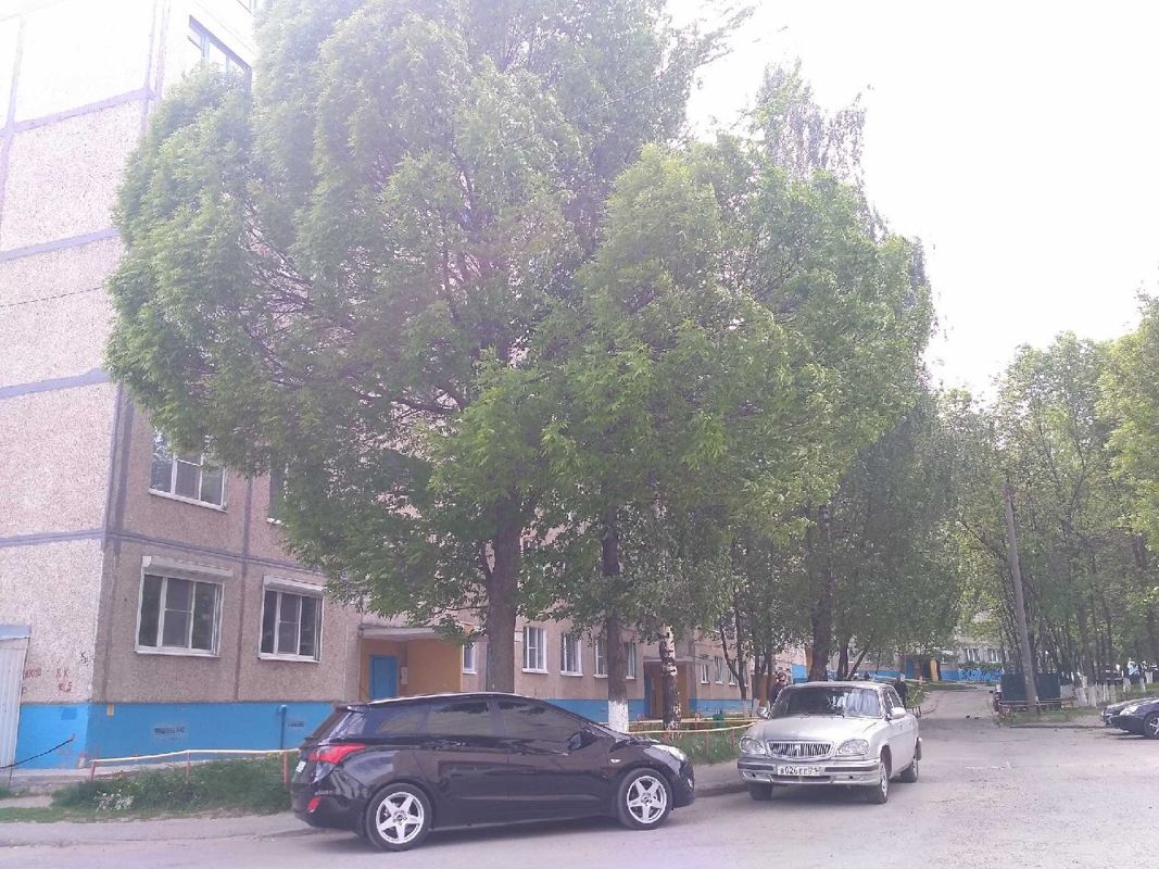 Чувашия чебоксары тракторостроителей пр кт. Чувашия чебоксары тракторостроителей пр кт