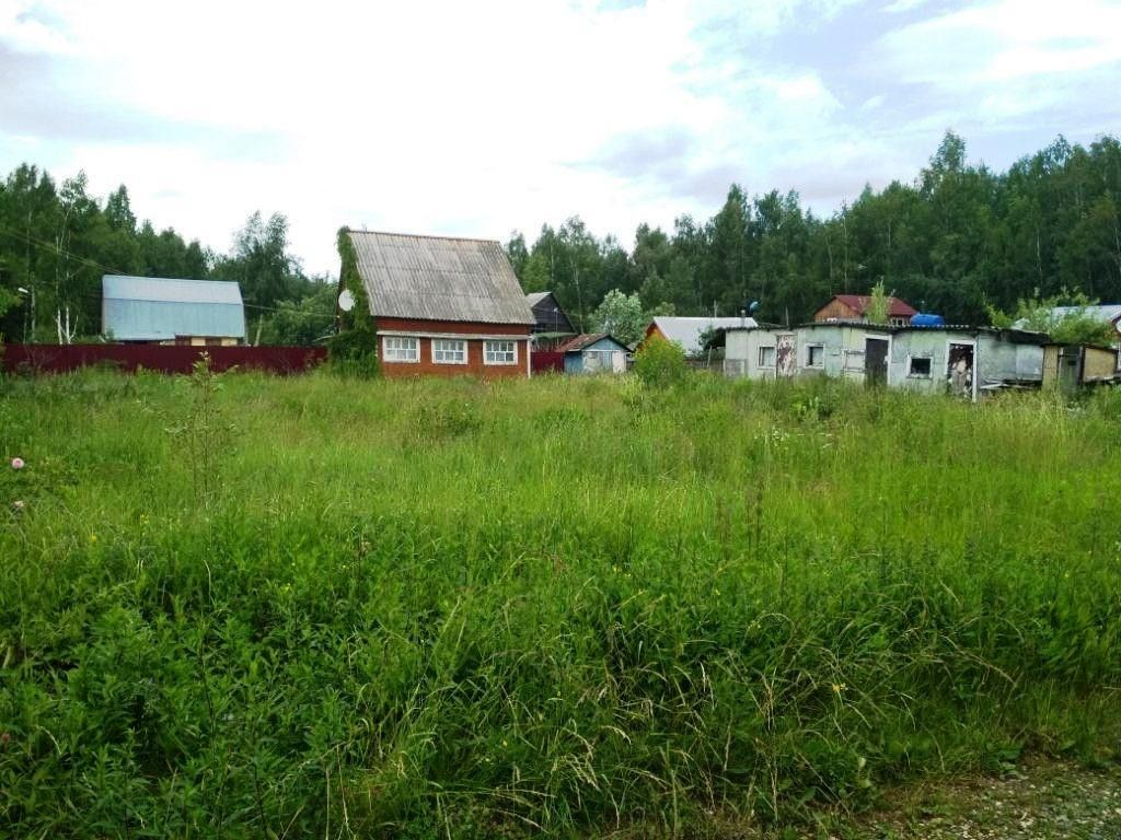 Новожилово погода александровский владимирской. Деревня Новожилово Владимирская область. Жуклино Владимирская область.