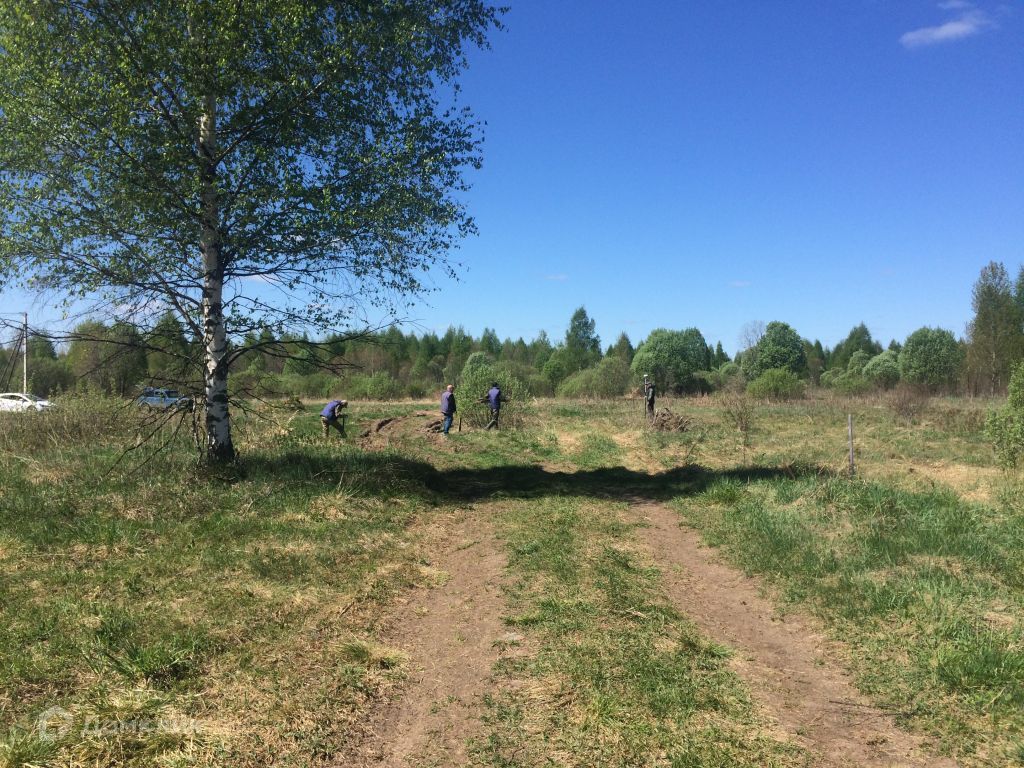 Деревня лисавы владимирской области фото