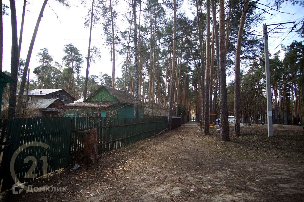 Купить Дом В Тамбове В Лесу