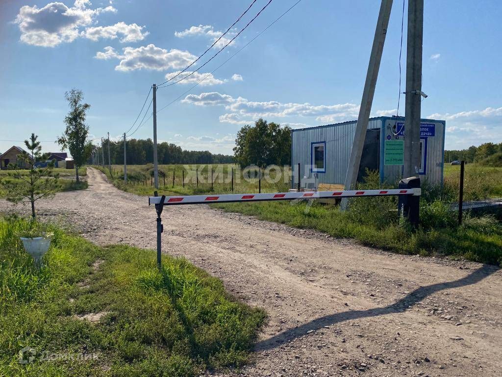 Тсн новосибирск
