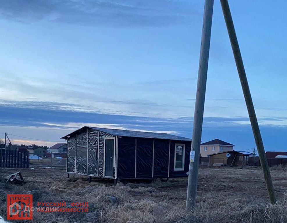 Скворцы в ленинградской области фото