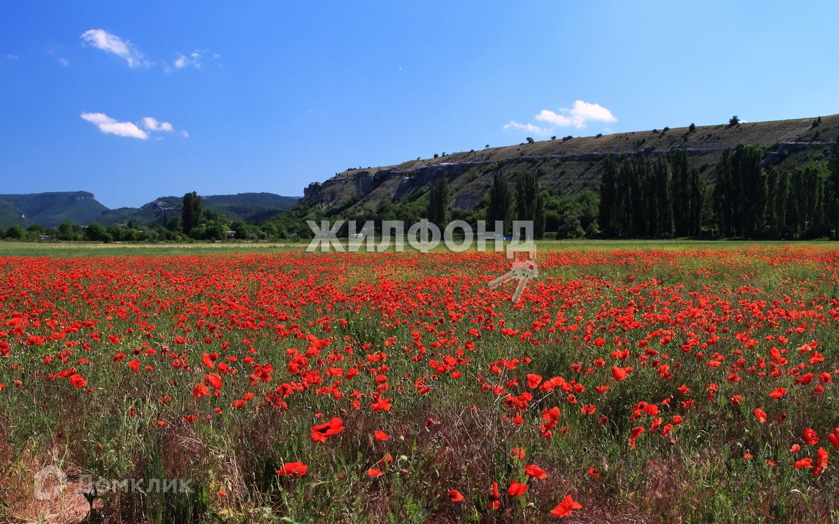 Купить Дом Яркое Поле Крым