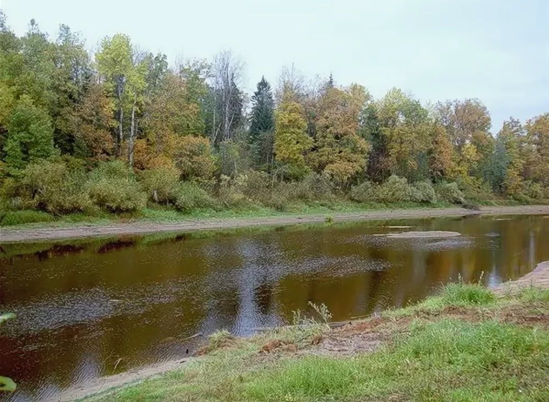 Савинское сельское поселение новгородская. Деревня Волынь Новгородская область. Деревня Волынь Новгородский район. Волотынь Новгородская область. Деревня Волынь река.